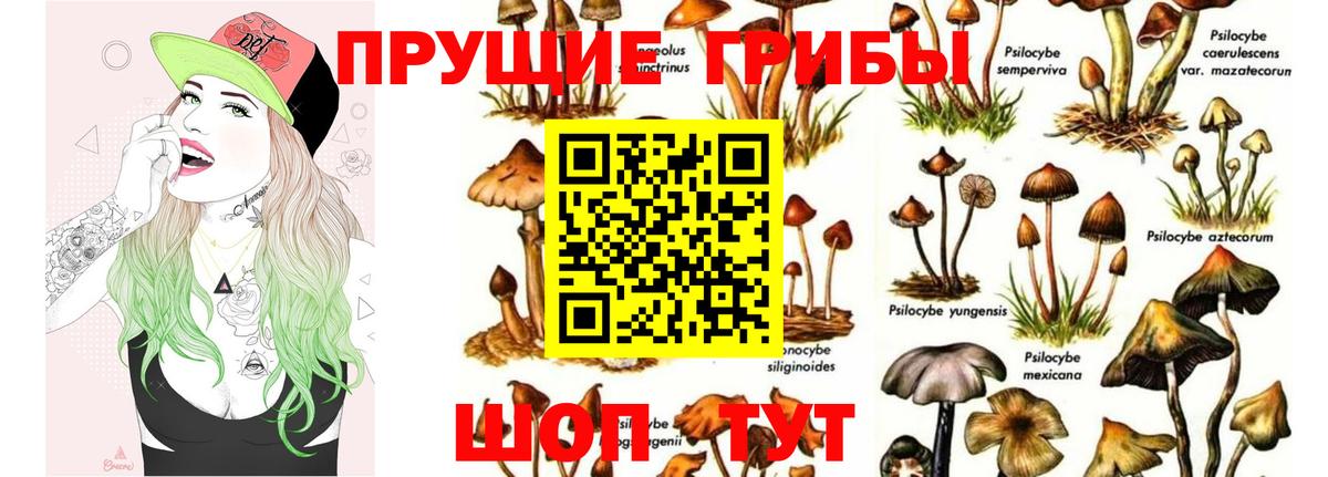 Псилоцибиновые грибы мицелий  Вход с VPN  Саров 